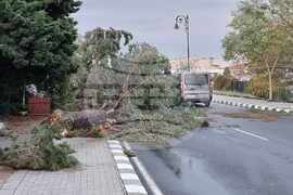 Свети Влас - буря - щети