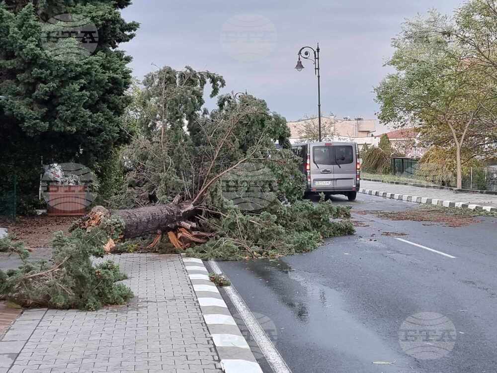 Свети Влас - буря - щети