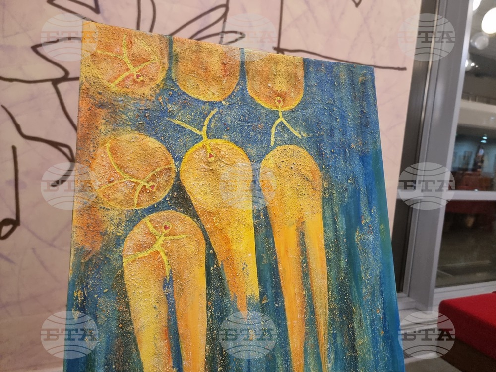 Стара Загора - изложба - благотворителност