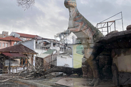 Слънчев бряг - буря - щети