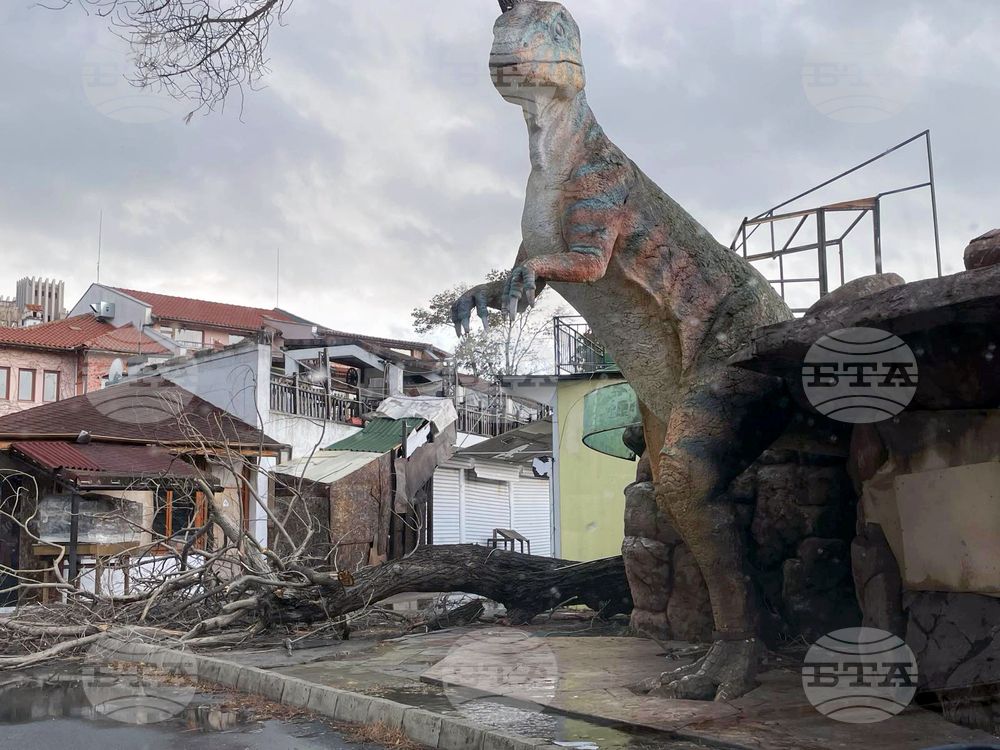 Слънчев бряг - буря - щети