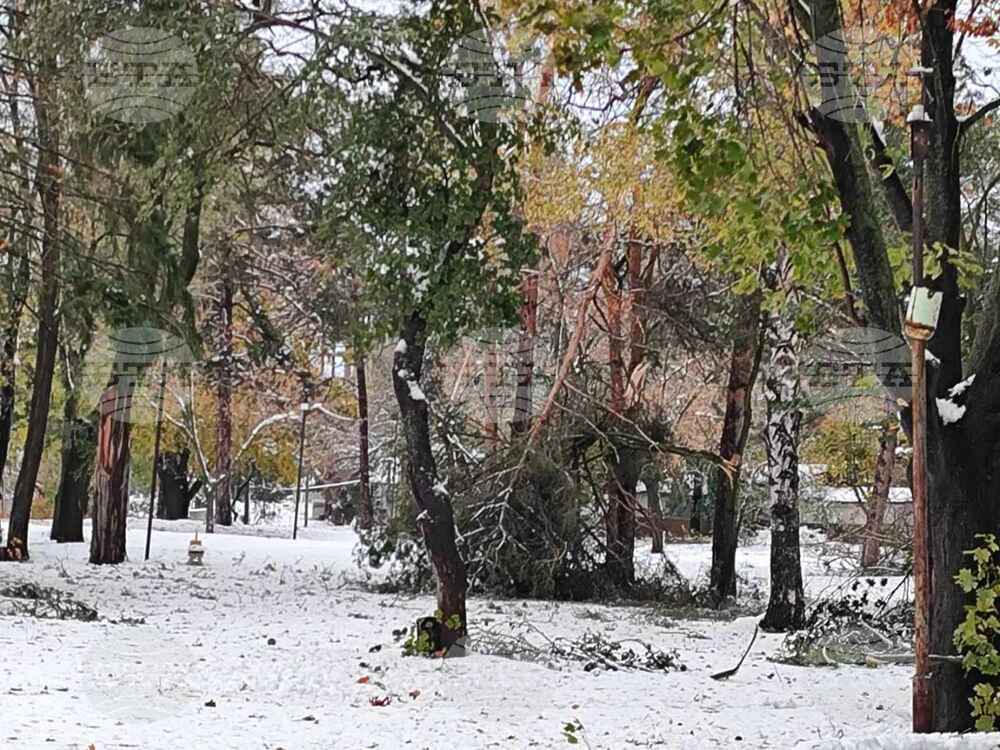 Без ток са населени места от силистренските общини Дулово и Алфатар
