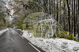 Село Голям Поровец - зима - обстановка