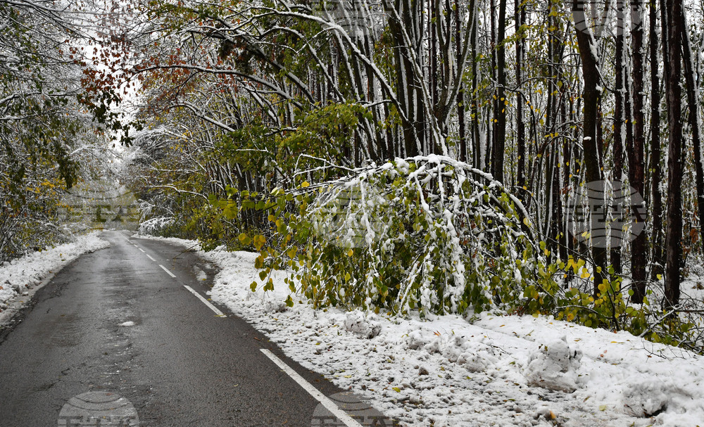 Село Голям Поровец - зима - обстановка
