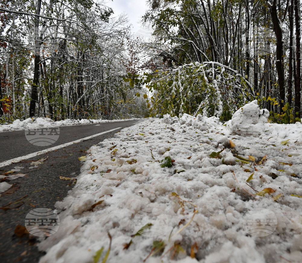 Село Голям Поровец - зима - обстановка