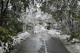Село Голям Поровец - зима - обстановка