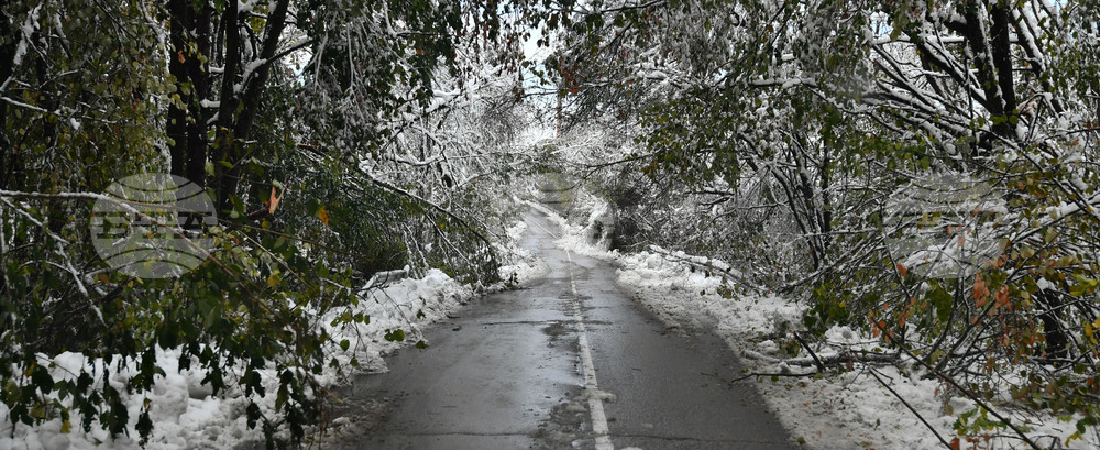 Село Голям Поровец - зима - обстановка
