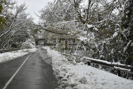 Село Голям Поровец - зима - обстановка