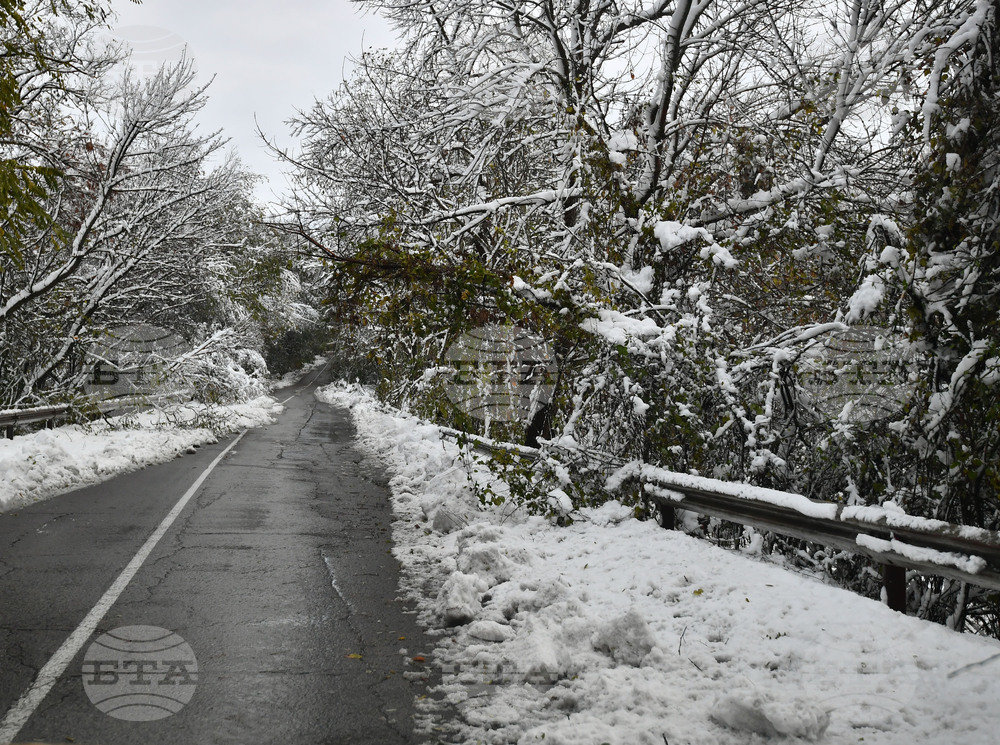 Село Голям Поровец - зима - обстановка