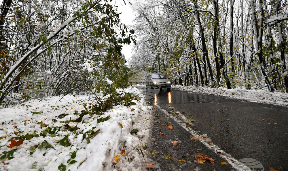 Село Голям Поровец - зима - обстановка
