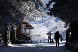 Витоша - време