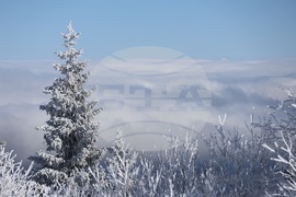 Витоша - време