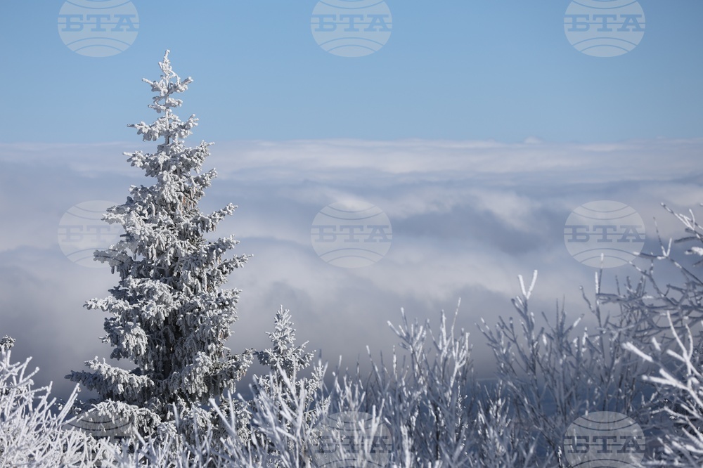 Possible Avalanches in Vitosha Mountain on Tuesday