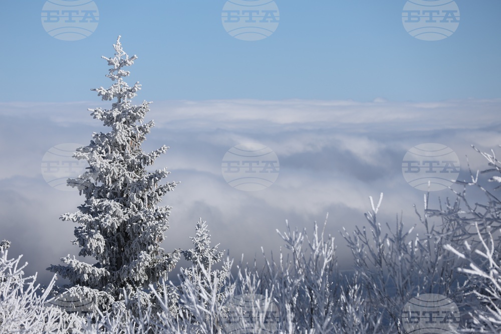 Витоша - време