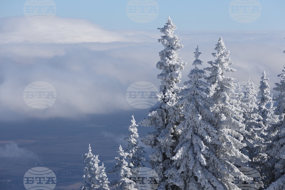 Витоша - време