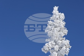 Витоша - време