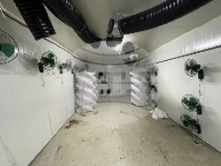 МВР - наркооранжерия