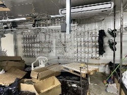 МВР - наркооранжерия