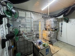 МВР - наркооранжерия