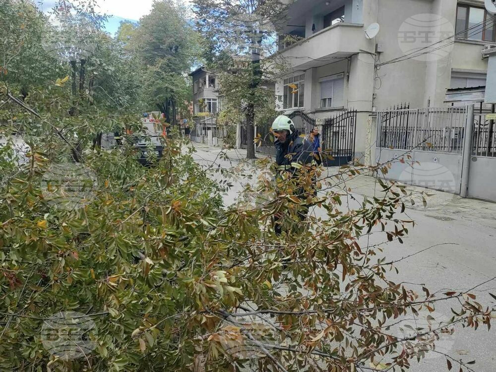 Общо 53 спасителни операции са извършени в Пловдивско във връзка със силния вятър през изминалото денонощие