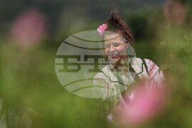 Село Буново - маслодайна роза - розобер
