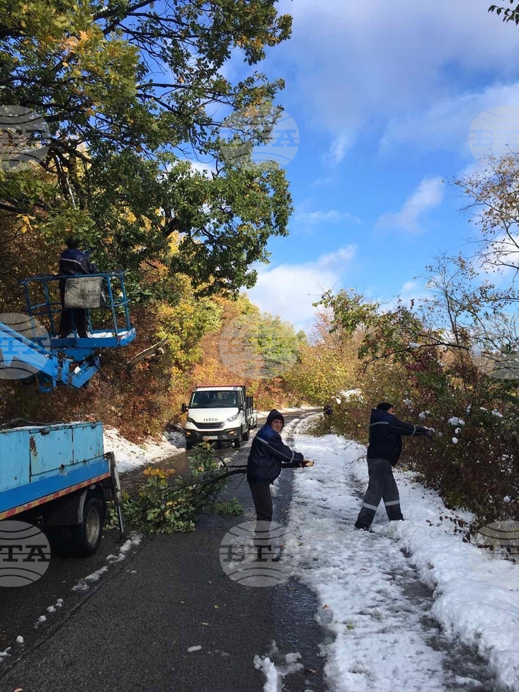 Разчистват се нападали клони след силния вятър в Шуменско