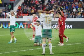 Сърбия - футбол - европейска квалификация