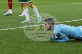 Сърбия - футбол - европейска квалификация