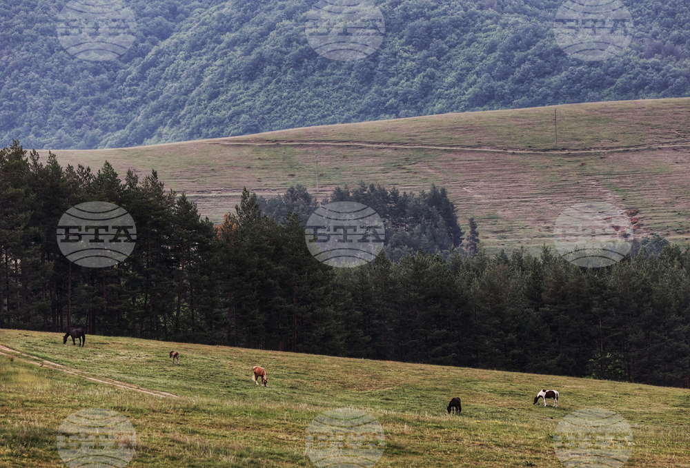 Прогноза за времето