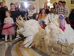 Biden Turkey Pardon