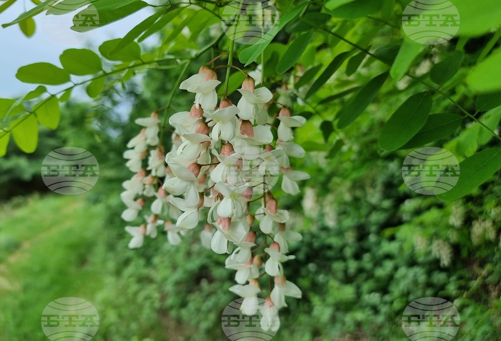 Село Чавдар - пролет