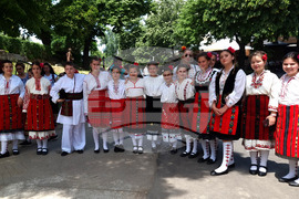 Видин - фолклорен фестивал