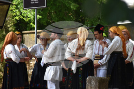 Видин - фолклорен фестивал