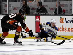Blues Ducks Hockey