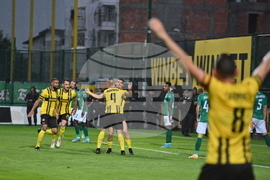 Пловдив - футбол - Ботев Пловдив - Берое