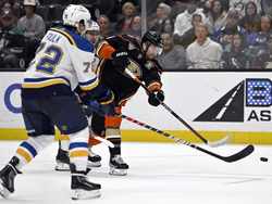 Blues Ducks Hockey