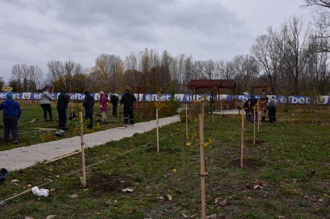 СО: Засадиха 30 фиданки дъб в района на Казичене