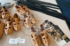 Дания - "На мегдана на другата България" - събор