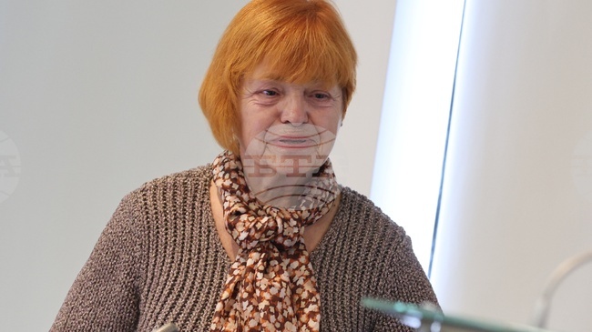 В бюджета няма никаква амбиция за борба със сивата икономика по линия на минималните осигурителни доходи, каза Ася Гонева от Надзорния съвет на НОИ