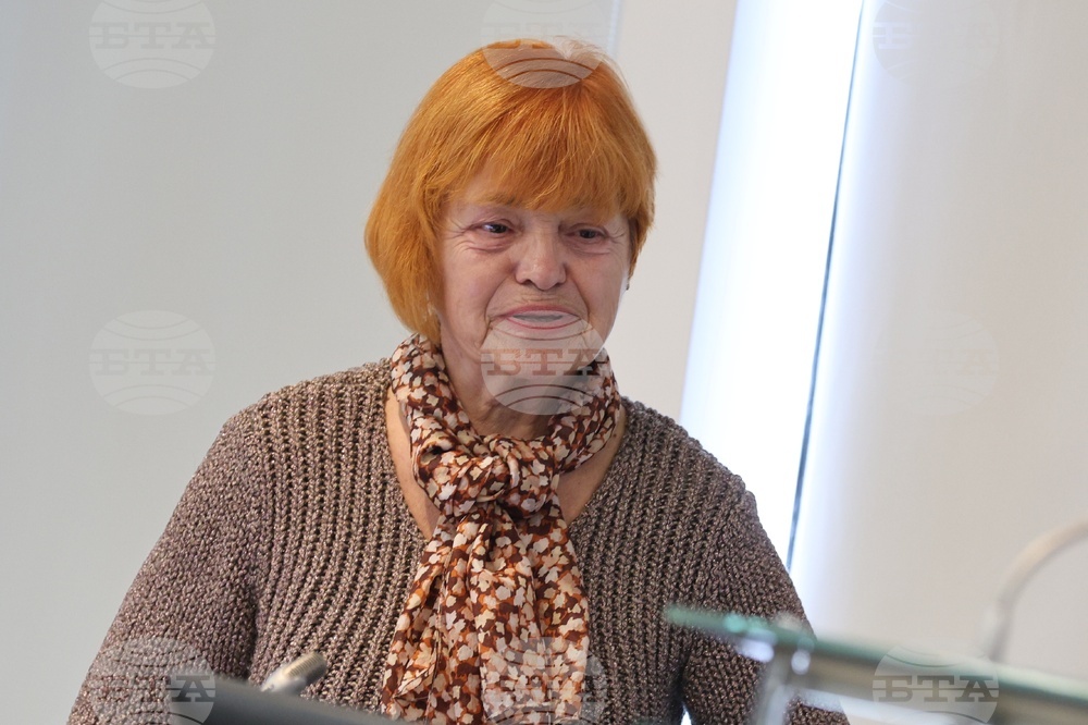 В бюджета няма никаква амбиция за борба със сивата икономика по линия на минималните осигурителни доходи, каза Ася Гонева от Надзорния съвет на НОИ