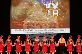 Дания - "На мегдана на другата България" - събор