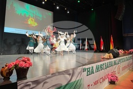 Дания - "На мегдана на другата България" - събор