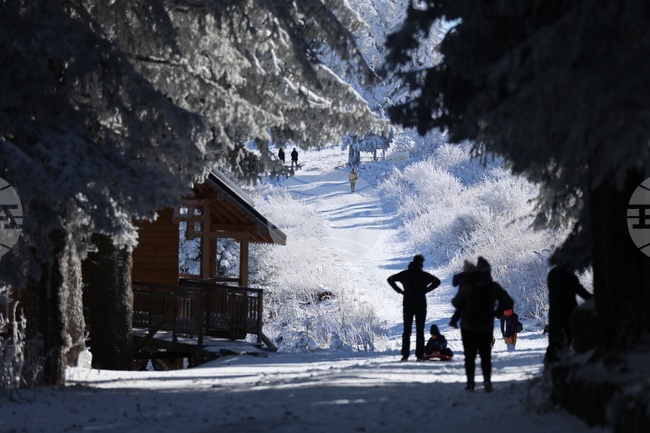 Mt. Vitosha - snow - weather