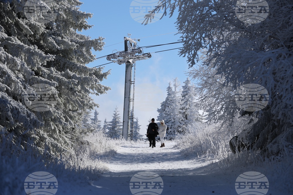 Mt. Vitosha - snow - weather
