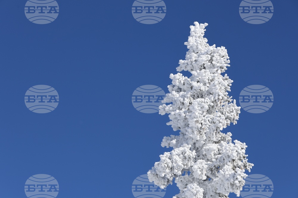 Mt. Vitosha - snow - weather