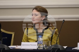 Кръгла маса - Иновации при съхранението на енергия - Цветелина Пенкова