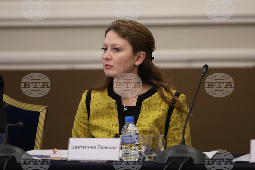 Кръгла маса - Иновации при съхранението на енергия - Цветелина Пенкова