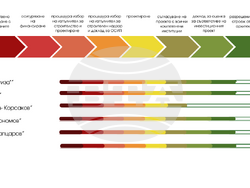 Снимка: Община Русе 