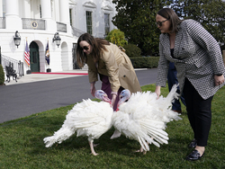 Biden White House Holidays