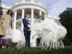 Biden White House Holidays